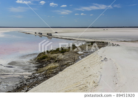 Salt lagoon,Dunaliella salina coloration, La Pampa, Argentina Salt lagoon,Dunaliella salina coloration, La Pampa, Argentina 89451920