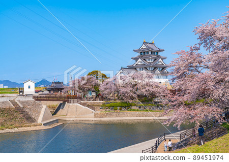 春天的砂俁市,櫻花盛開<岐阜縣大垣市> 春天的砂俁市,櫻花盛開<岐阜縣大垣市> 89451974