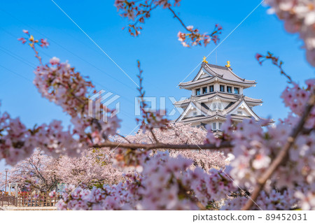春天的砂俁市，櫻花盛開<岐阜縣大垣市> 89452031