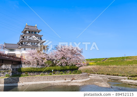 Sunomata Ichiya Castle in spring, cherry blossoms in full bloom <Ogaki City, Gifu Prefecture> Sunomata Ichiya Castle in spring, cherry blossoms in full bloom <Ogaki City, Gifu Prefecture> 89452115