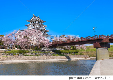 Sunomata Ichiya Castle in spring, cherry blossoms in full bloom <Ogaki City, Gifu Prefecture> Sunomata Ichiya Castle in spring, cherry blossoms in full bloom <Ogaki City, Gifu Prefecture> 89452122
