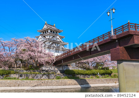 Sunomata Ichiya Castle in spring, cherry blossoms in full bloom <Ogaki City, Gifu Prefecture> 89452124