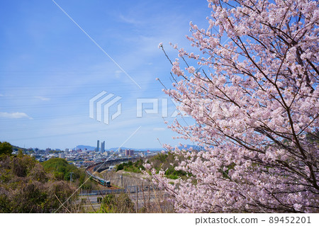 Sakura cityscape (Utazu Town, Kagawa Prefecture) Sakura cityscape (Utazu Town, Kagawa Prefecture) 89452201
