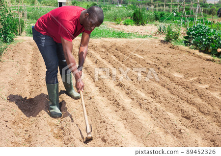 African american man professional horticulturist with garden shovel African american man professional horticulturist with garden shovel 89452326
