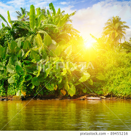 Tropical jungle of monsters, mangroves and palms on the lake. Tropical jungle of monsters, mangroves and palms on the lake. 89455216
