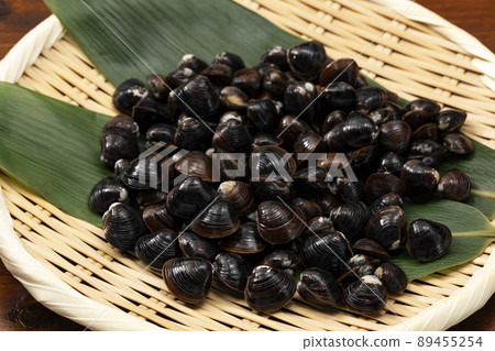 Clams on the colander Clams on the colander 89455254