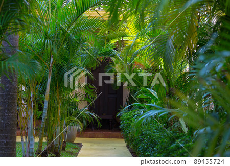 In garden 89455724
