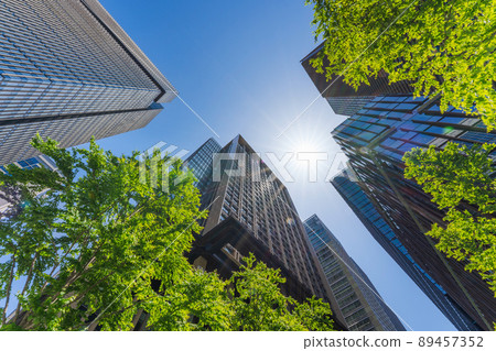 Tokyo Buildings and Fresh Green 89457352
