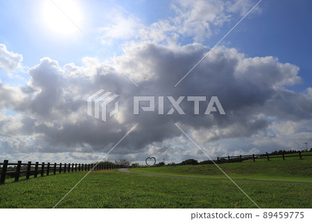 藍天白雲 89459775