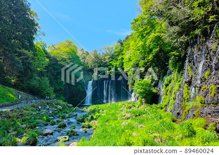 白rai瀑布（富士宮市） 89460024