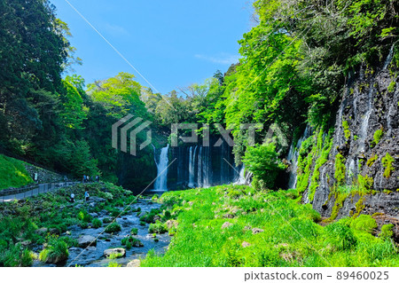 白rai瀑布（富士宮市） 89460025