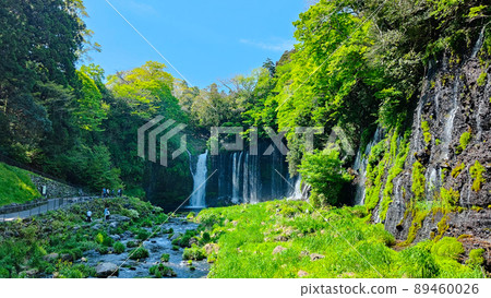 Shiraito Falls (Fujinomiya City) 89460026
