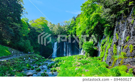 白rai瀑布（富士宮市） 89460027