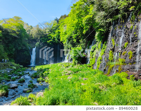 白rai瀑布（富士宮市） 89460028