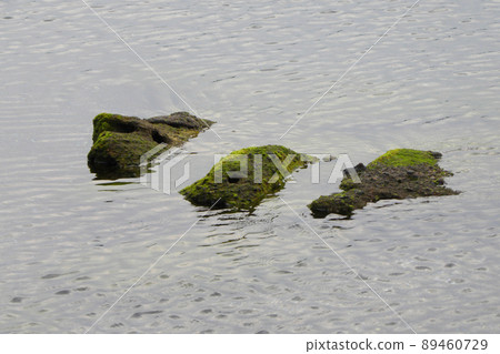 呃什麼 呃什麼 89460729