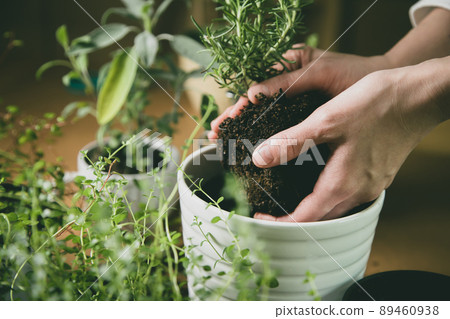 Image material of gardening Image material of gardening 89460938