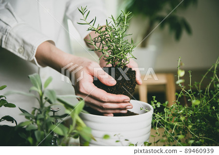 Image material of gardening Image material of gardening 89460939