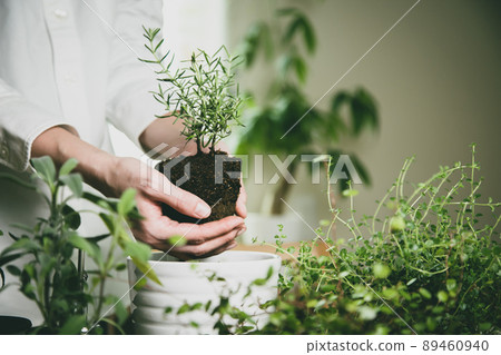 Image material of gardening 89460940