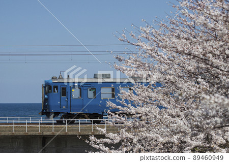 櫻花和475系列 櫻花和475系列 89460949