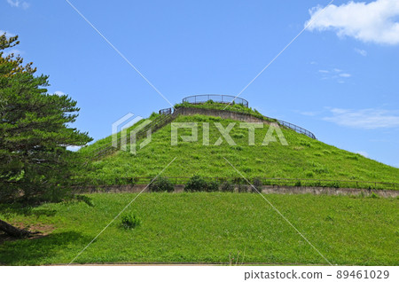 Kawawafuji Park Fujimigaoka, Tsuzuki-ku, Yokohama City, Kanagawa Prefecture 89461029