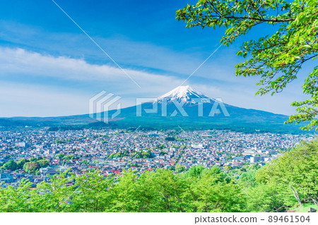 (Yamanashi Prefecture) Mt. Fuji seen from the fresh green Arakurayama Sengen Park (Yamanashi Prefecture) Mt. Fuji seen from the fresh green Arakurayama Sengen Park 89461504
