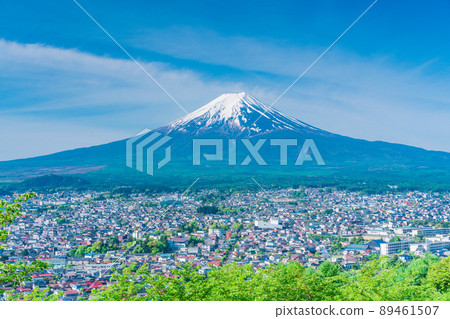 （山梨縣）從綠意盎然的新倉山淺間公園眺望富士山 89461507