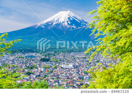 (Yamanashi Prefecture) Mt. Fuji seen from the fresh green Arakurayama Sengen Park (Yamanashi Prefecture) Mt. Fuji seen from the fresh green Arakurayama Sengen Park 89461520