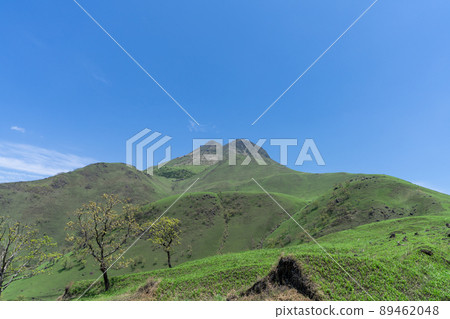 《大分縣》由布山（鶴見山） 89462048
