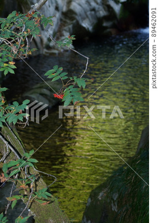 鳥取四季節步行秋江 89462091