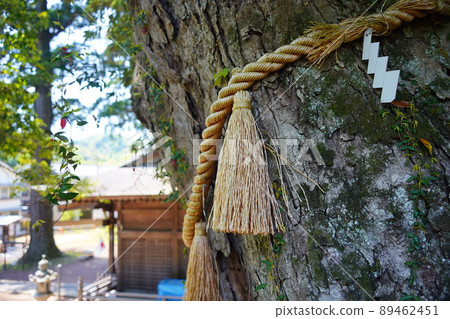 A couple cedar, a child treasure cedar, and a first-ranked oak at Hie Shrine, which was built by Kobo Daishi next to Shuzenji in Izu City, Shizuoka Prefecture. 89462451