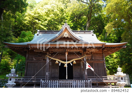靜岡縣伊豆市修善寺旁的弘法大師建造的日枝神社的一對杉木、兒童寶杉木和一級橡樹。 89462452