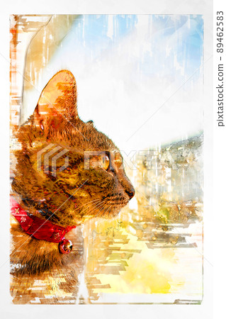 貓 貓 貓 Kijitora 白色 灰色 小貓 母 母貓 母貓 母貓 開朗 可愛 治愈系 貓 貓 貓 Kijitora 白色 灰色 小貓 母 母貓 母貓 母貓 開朗 可愛 治愈系 89462583