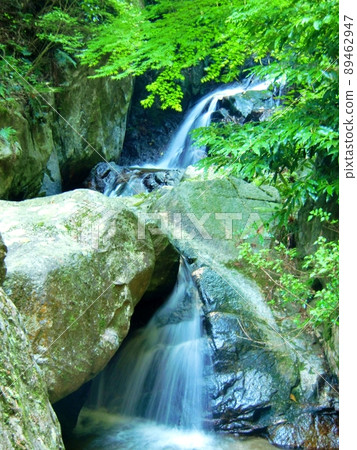 Early summer scenery downstream of Senjuin Falls (Fukuoka) 89462947