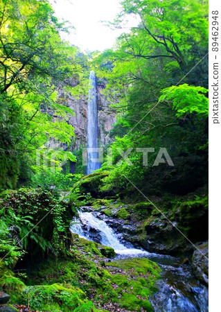 初夏的東椎谷瀑布被清新的綠色環繞（美國市阿治木町） 89462948