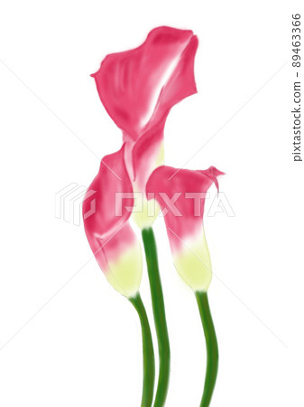 Three colors 89463366