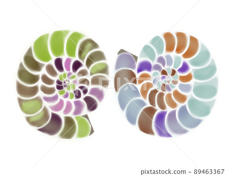 Ammonite pattern 89463367