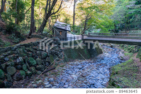 岐阜 / 養老瀑布和紅葉 岐阜 / 養老瀑布和紅葉 89463645