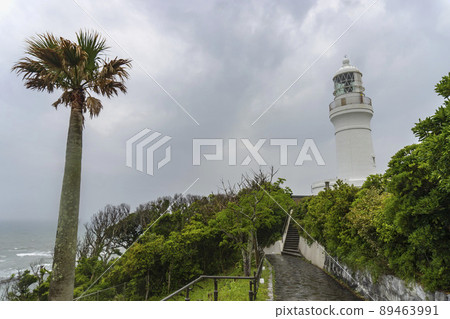 Palm trees swaying in the wind and rain and Omaezaki Lighthouse [Weather] / Omaezaki City, Shizuoka Prefecture 89463991