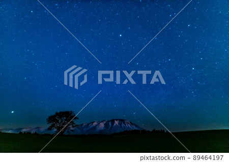 Starscape of Koiwai Farm in Iwate Prefecture-Mt. Iwate and Ippon Sakura- Starscape of Koiwai Farm in Iwate Prefecture-Mt. Iwate and Ippon Sakura- 89464197
