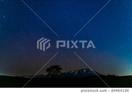 Starscape of Koiwai Farm in Iwate Prefecture-Mt. Iwate and Ippon Sakura- 89464198