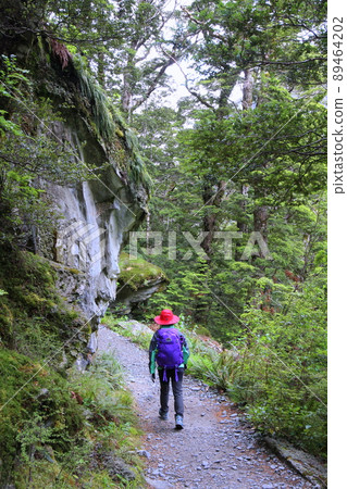 新西蘭_Routeburn Track 02 89464202