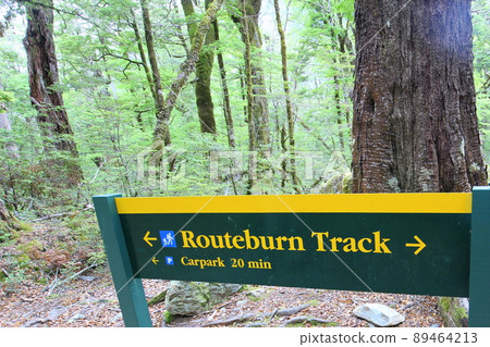 New Zealand_Routeburn Track 13 89464213