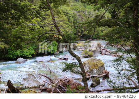 新西蘭_Routeburn Track 20 新西蘭_Routeburn Track 20 89464220
