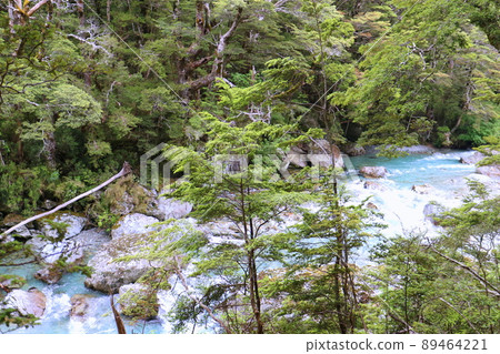 新西蘭_Routeburn Track 21 新西蘭_Routeburn Track 21 89464221