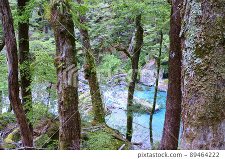 New Zealand_Routeburn Track 22 89464222