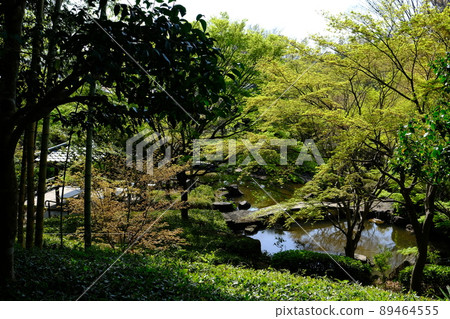 大磯城山公園 2 89464555