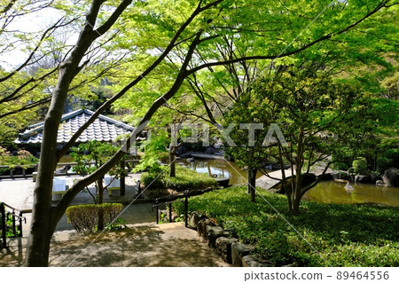 大磯城山公園 3 89464556