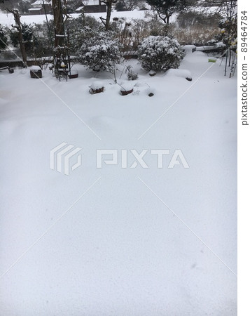 花園裡用雪做的白色地毯 花園裡用雪做的白色地毯 89464784