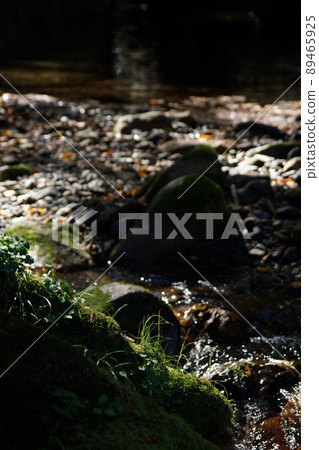 Tottori four seasons walk Akaha River pothole Tottori four seasons walk Akaha River pothole 89465925