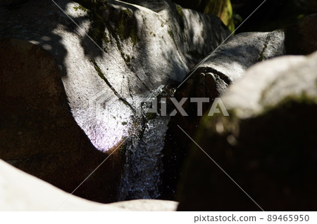 鳥取四季節步行秋江 鳥取四季節步行秋江 89465950